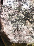 081024_132431~Shizennsekibonji2~1.jpg