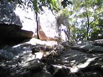 081024_132557~Shizennsekibonji2~3.jpg