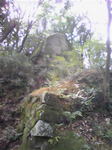081024_133528~Shizennsekibonji1~4.jpg