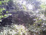081024_134350~7goume1.jpg