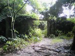 081024_134410~'7goume2.jpg