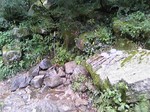 081024_140611~3goume.jpg